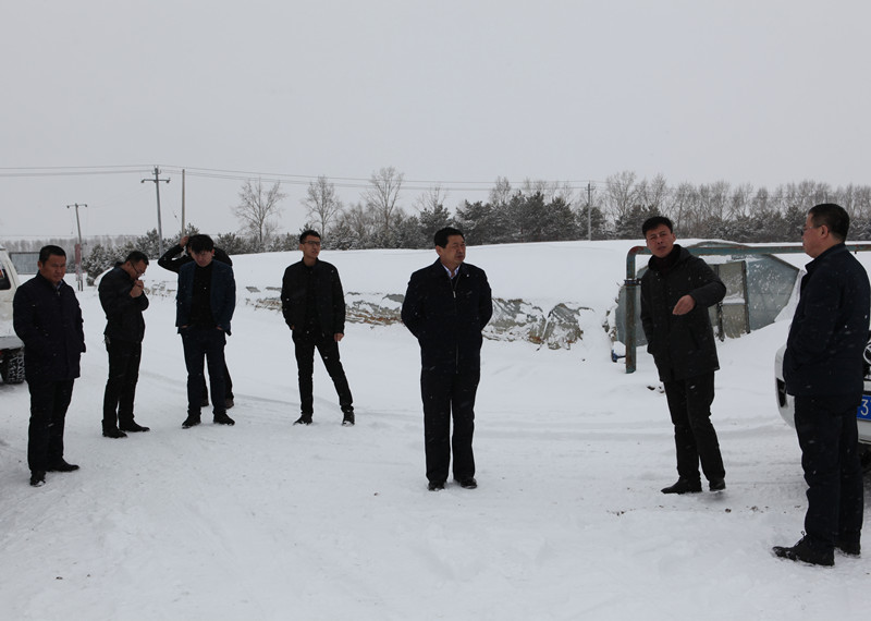 2019.03.13场长到大棚区检查清雪情况 044_副本.jpg