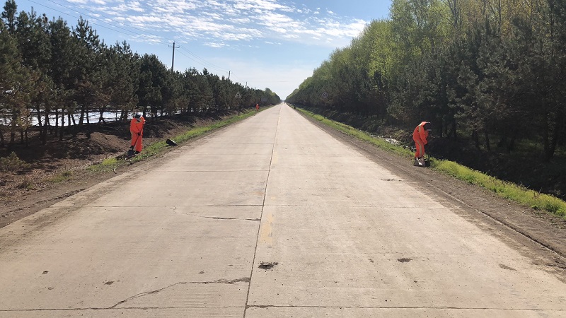 红卫农场栽种花卉为公路“美容”增色.jpg